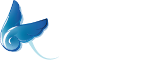 YumeStudio